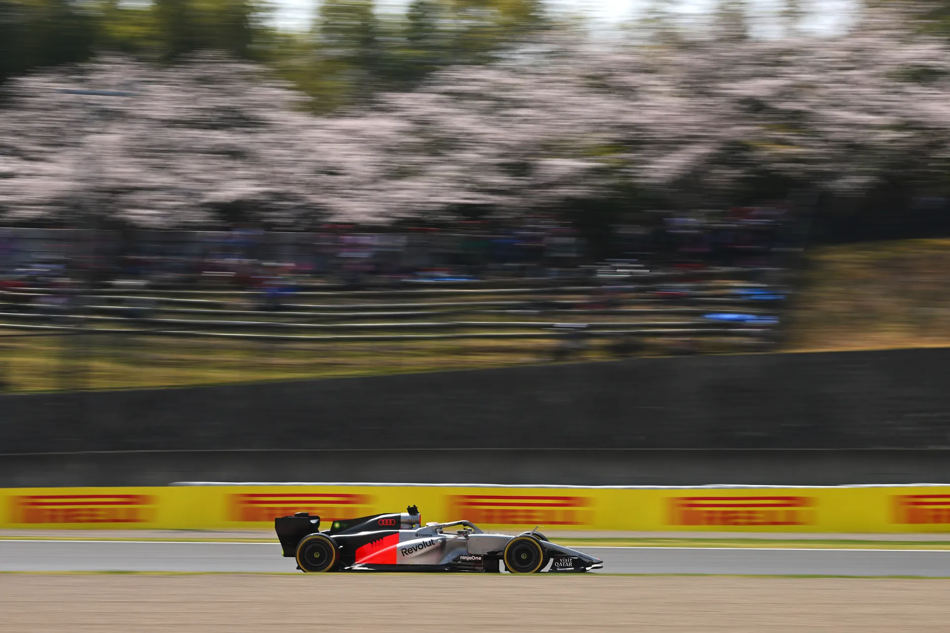 The Audi Revolut F1® Team car speeds through Suzuka past cherry blossoms and grandstands in the background.