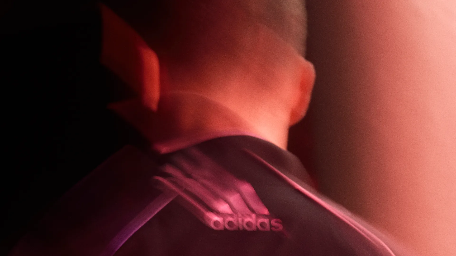 Adidas collection miami