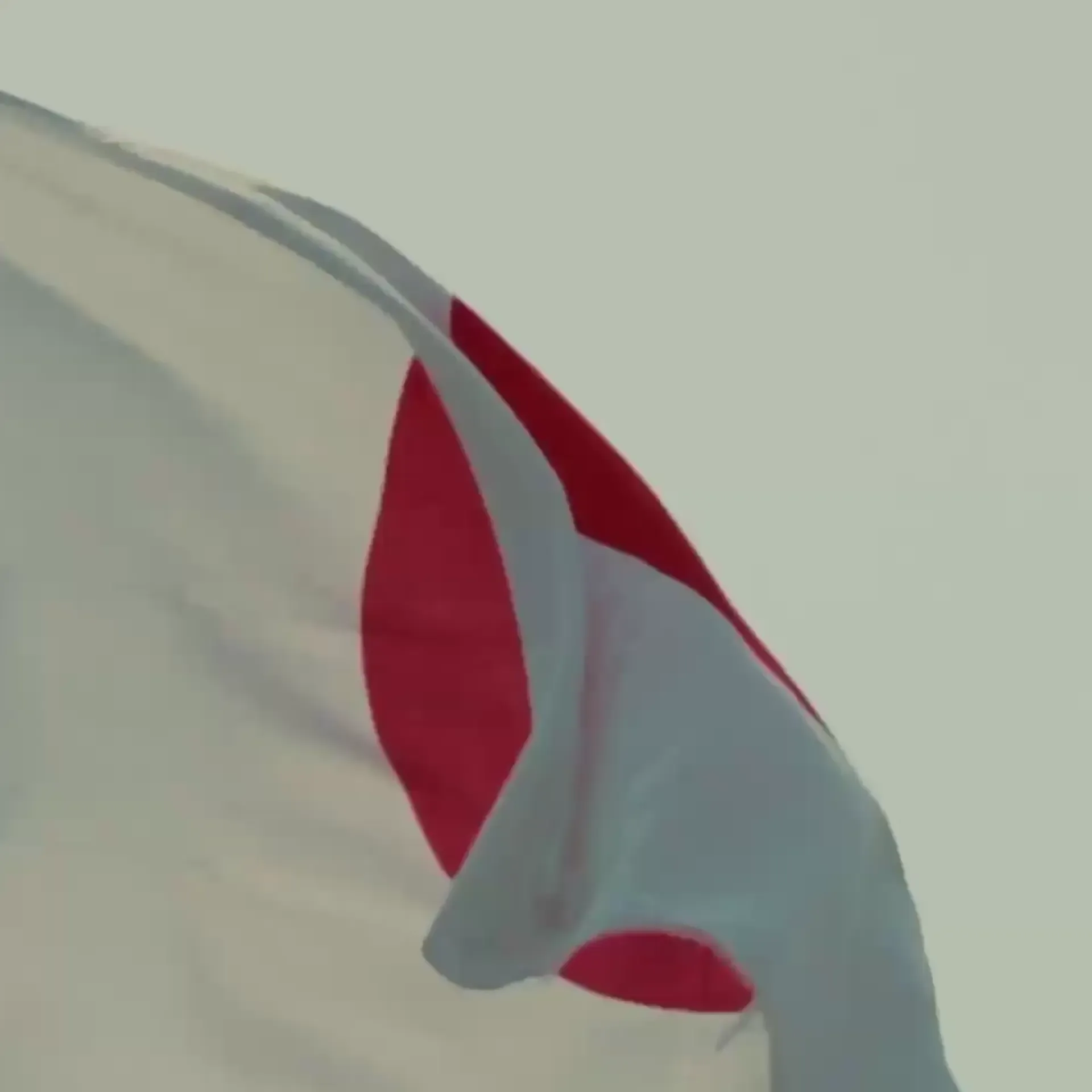 Loop Japan Recapt Teaser