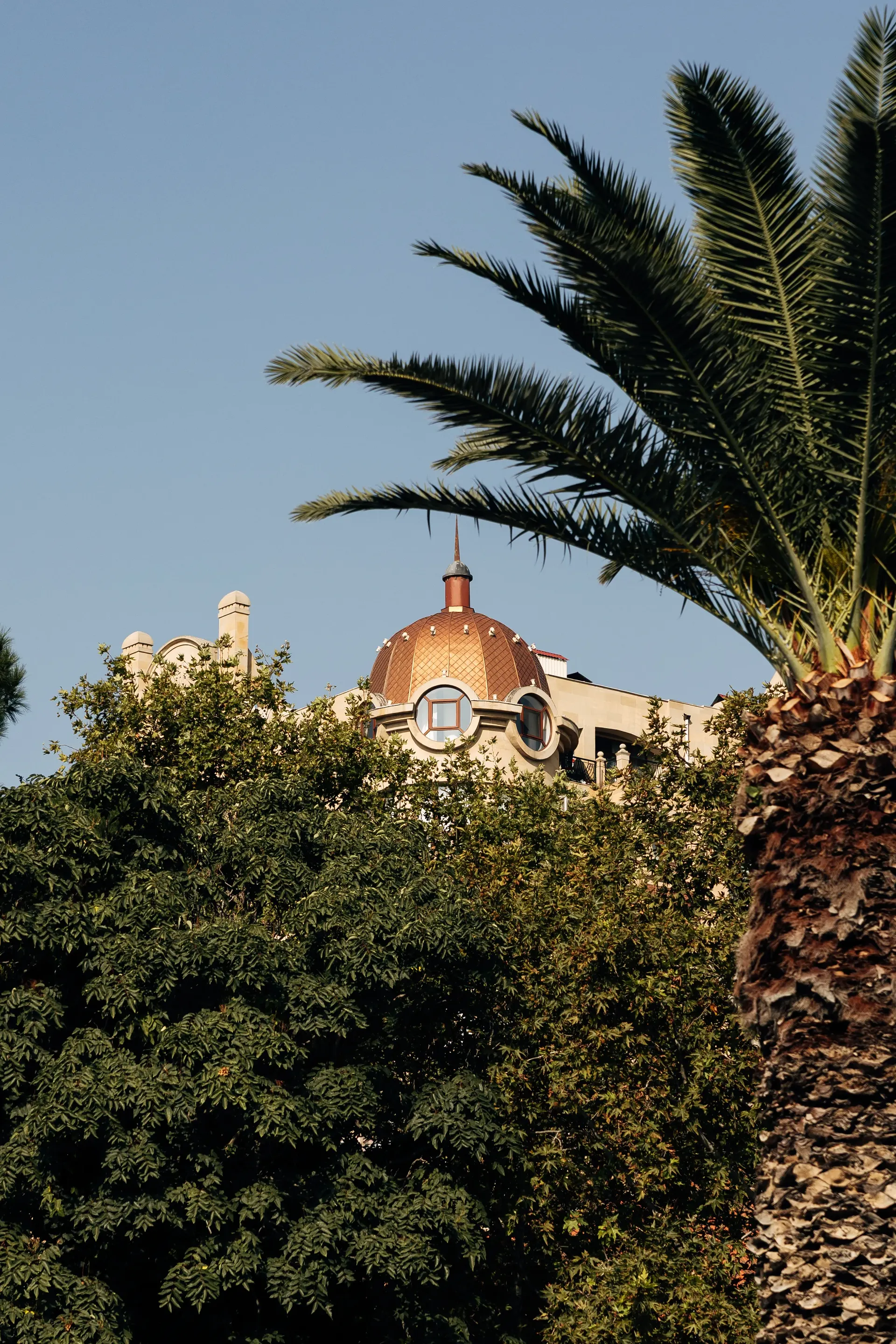 Palm tree and historic architecture in Baku, Azerbaijan