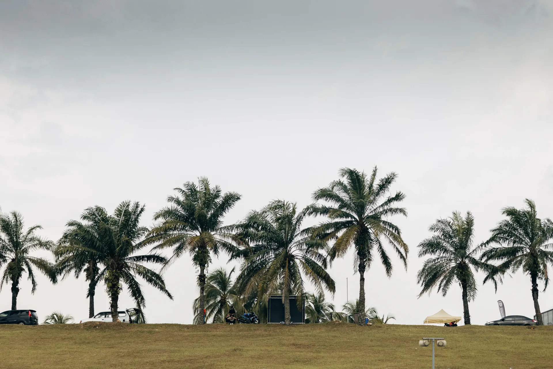 Palm trees beside Bahrain International Circuit under cloudy skies