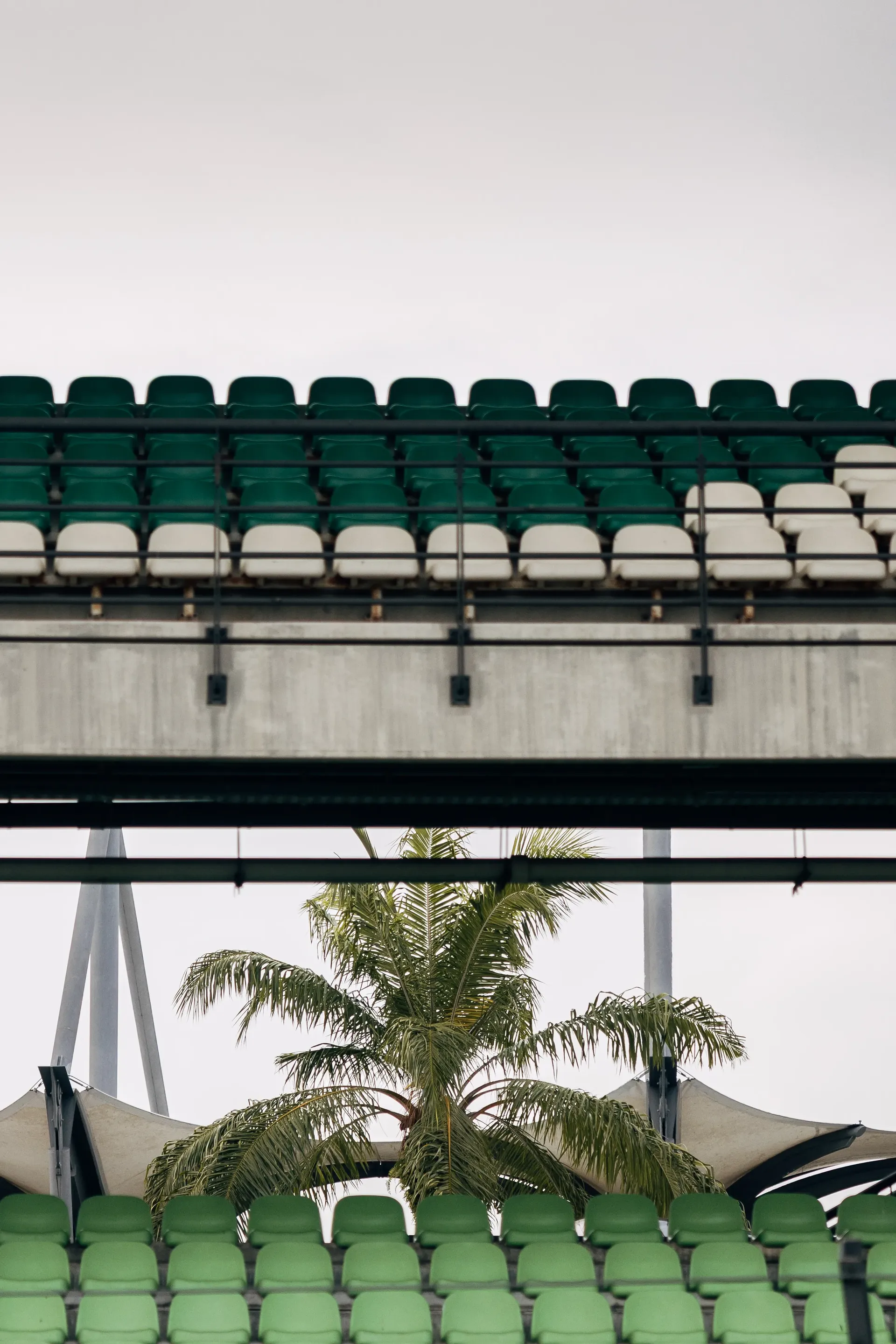 Bahrain International Circuit grandstand and palm trees viewed through the structure