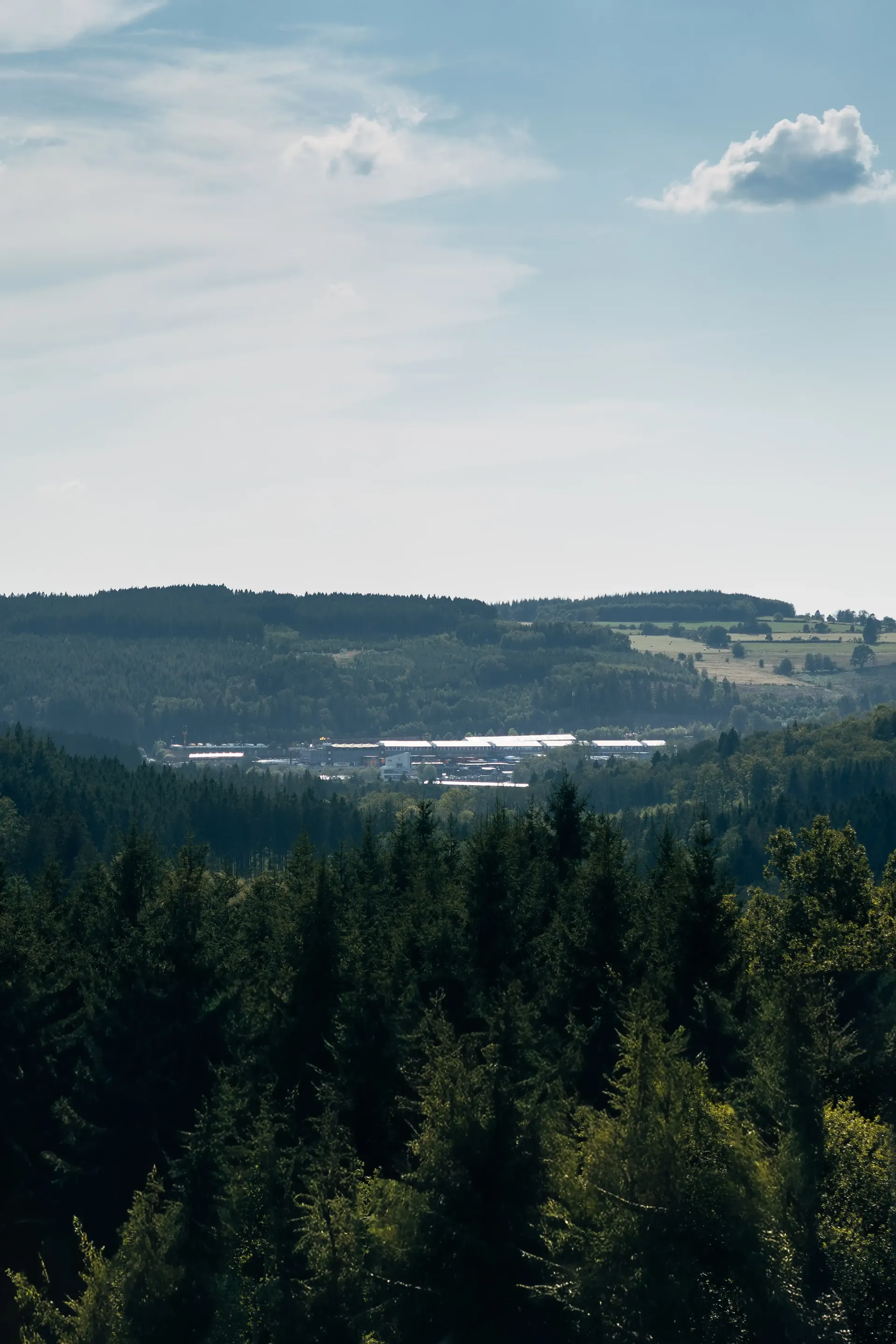 Scenic view of the Ardennes with forests, rolling hills, and a valley below.