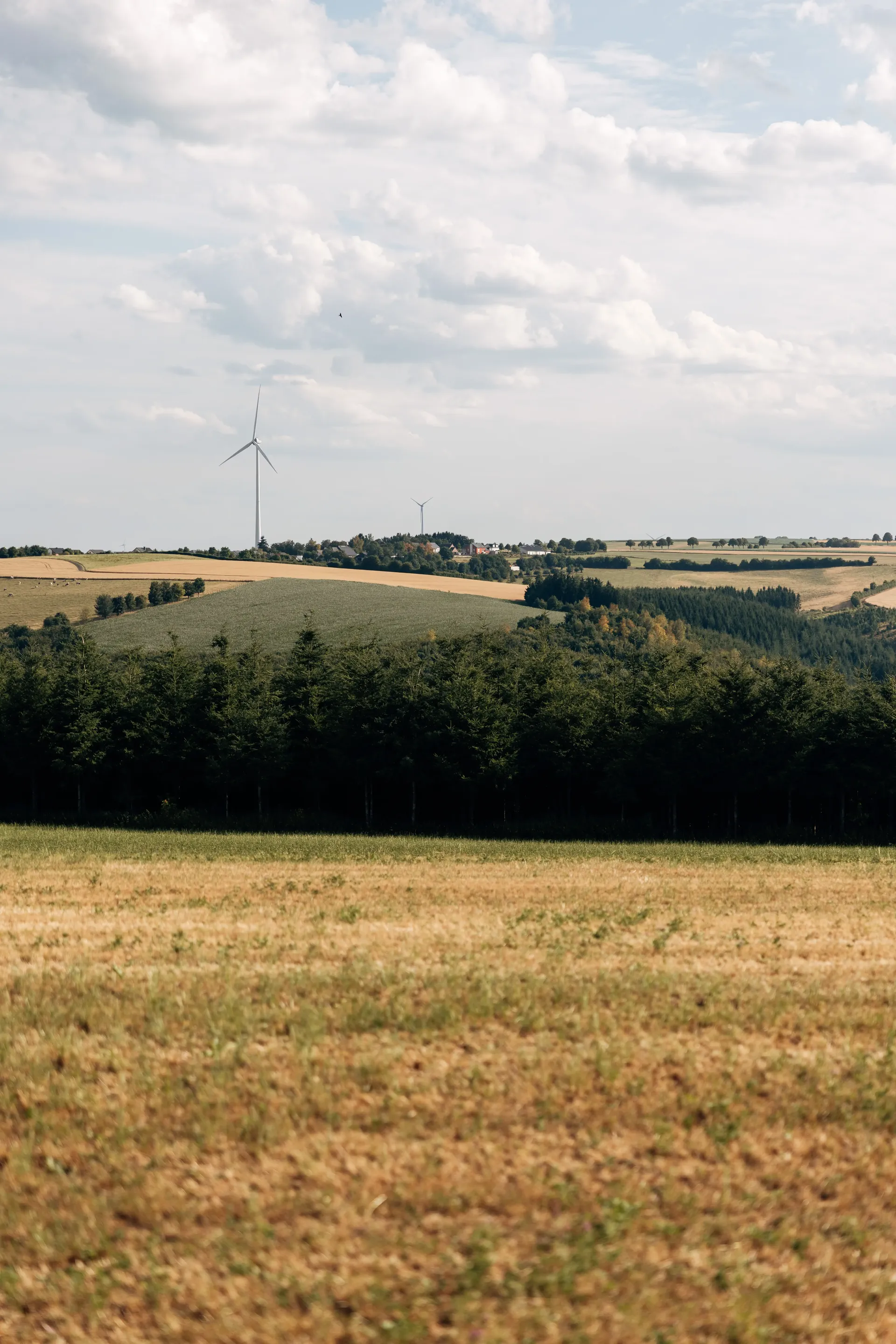 Belgian countryside with open fields, rolling hills, and a distant wind turbine.