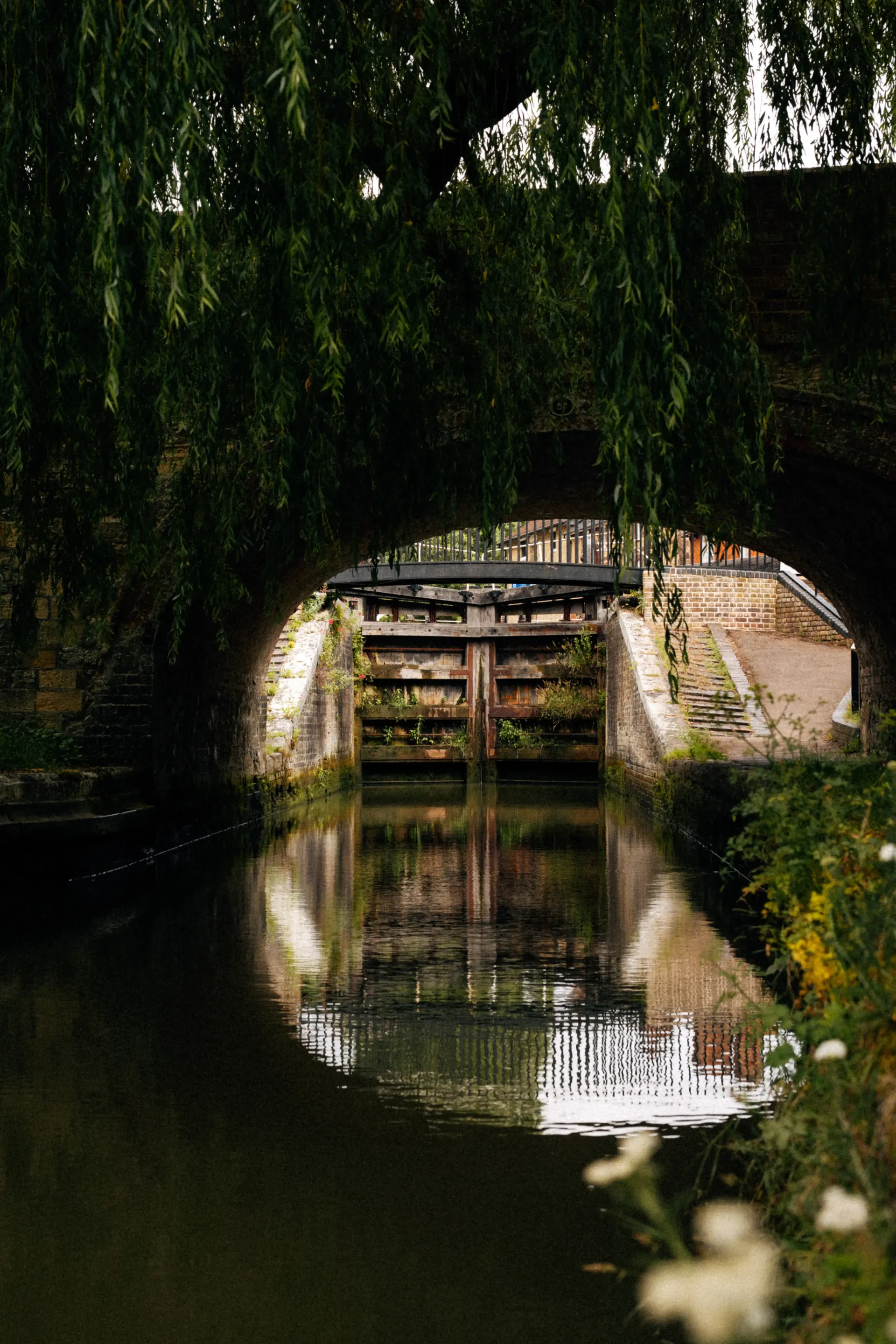 Historic canal lock framed by overhanging trees with reflections in the water.