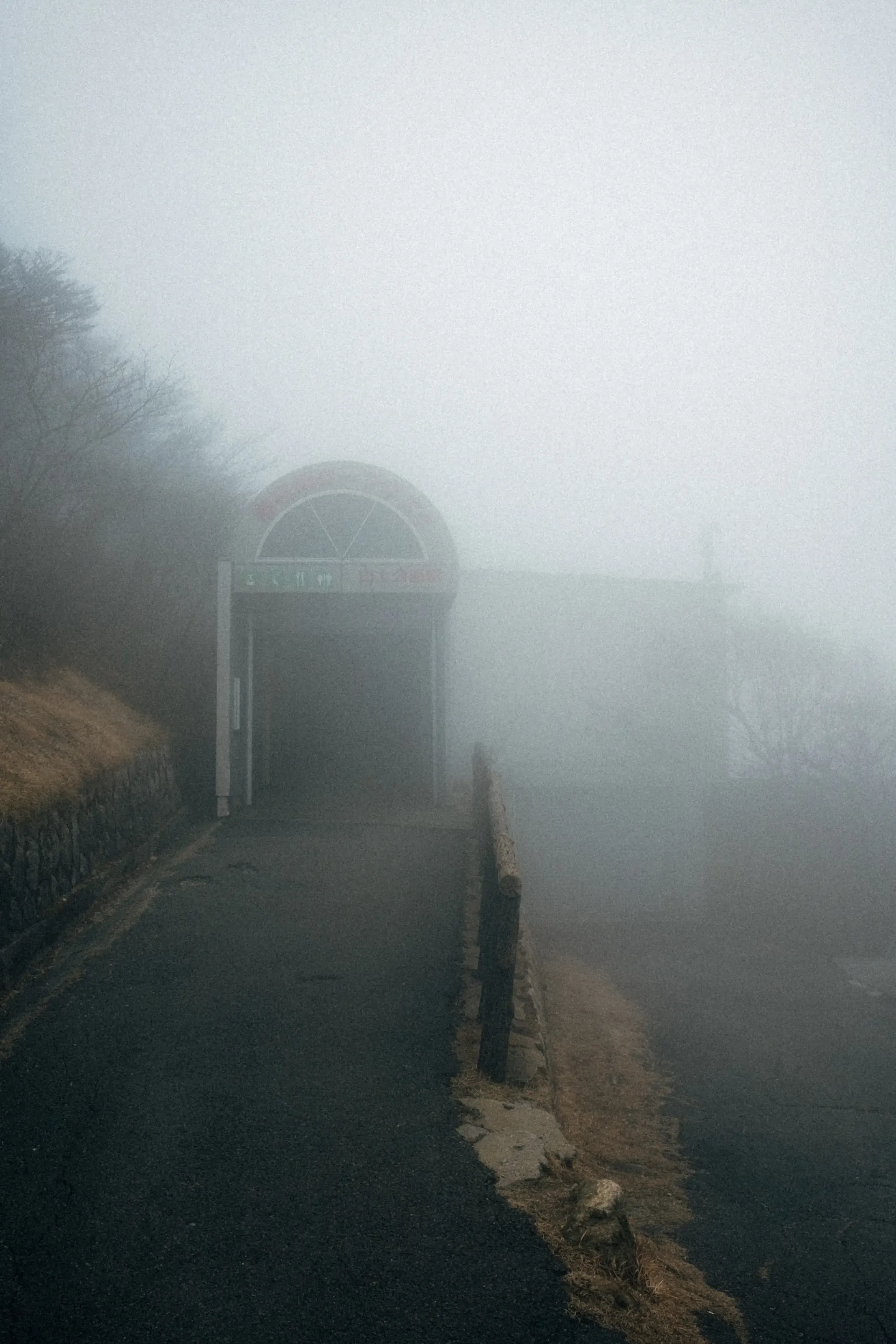 Foggy shrine pathway in Suzuka, Japan, providing atmospheric escape during the Japanese Grand Prix weekend