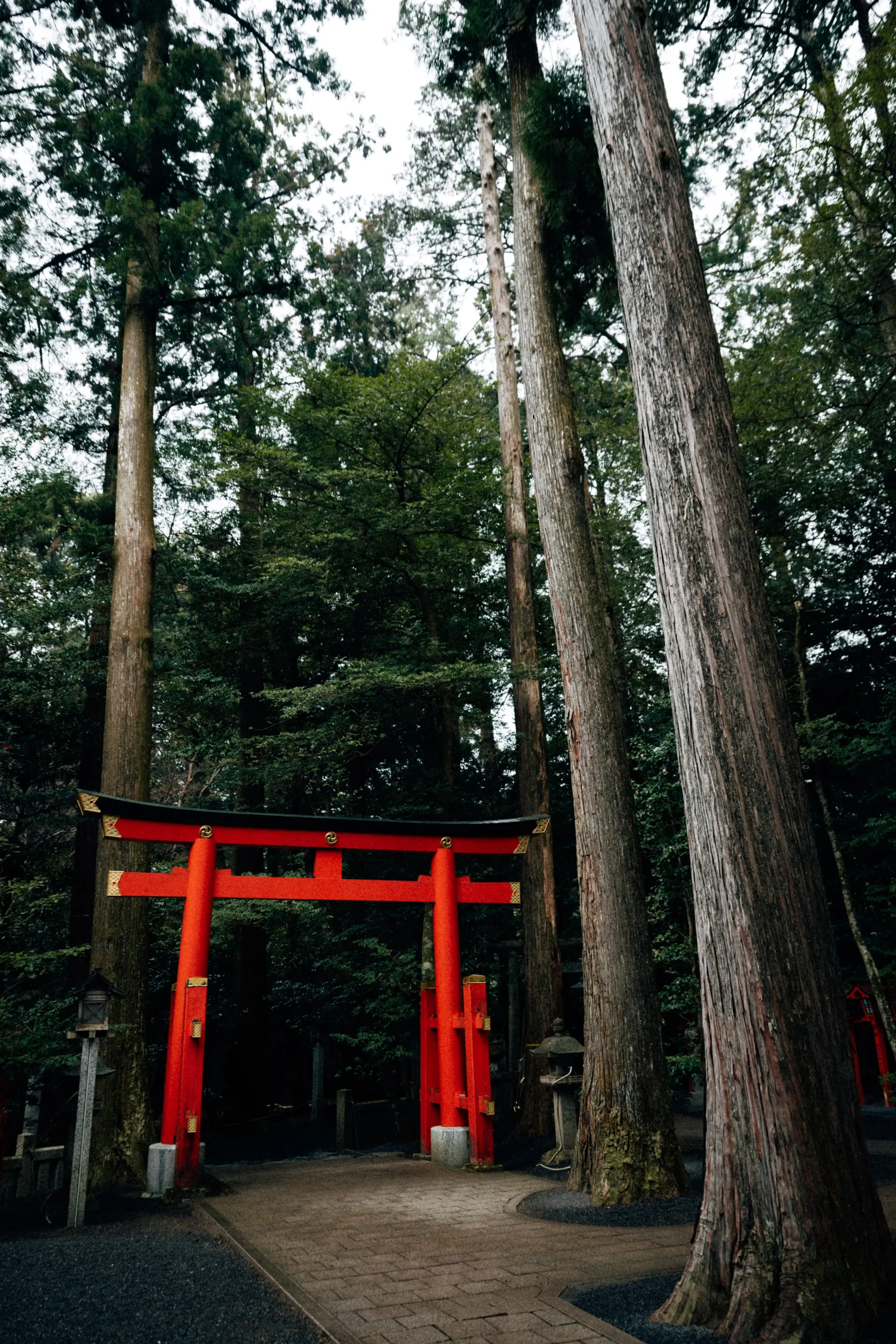 Red torii gate surrounded by forest near Suzuka, a cultural landmark visited during the Japanese Grand Prix weekend