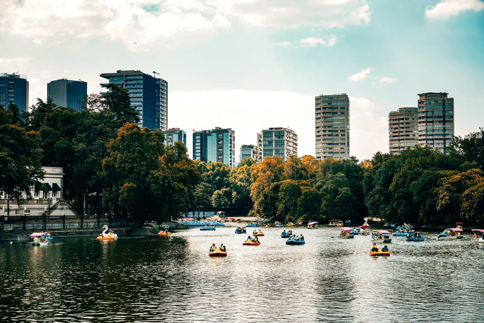 Pedal boats on the lake in Chapultepec Park with the Mexico City skyline behind the trees