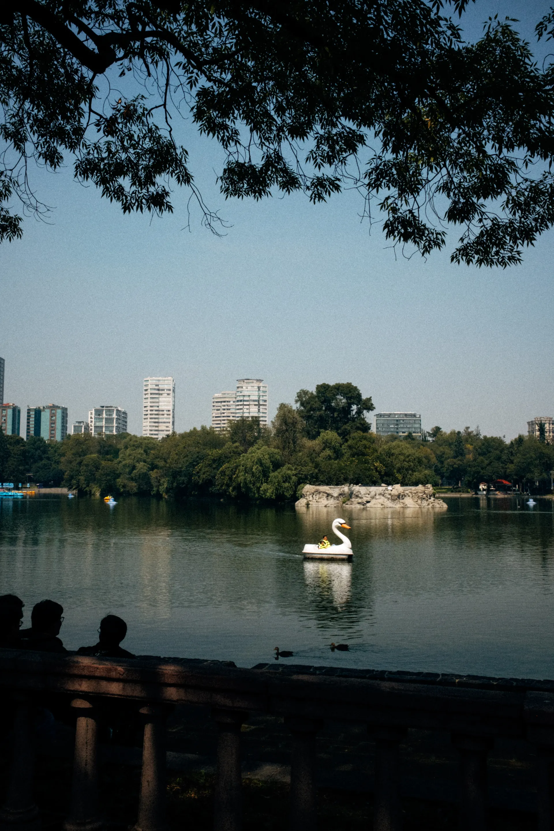Swan pedal boat on a park lake with the Mexico City skyline behind, framed by tree branches