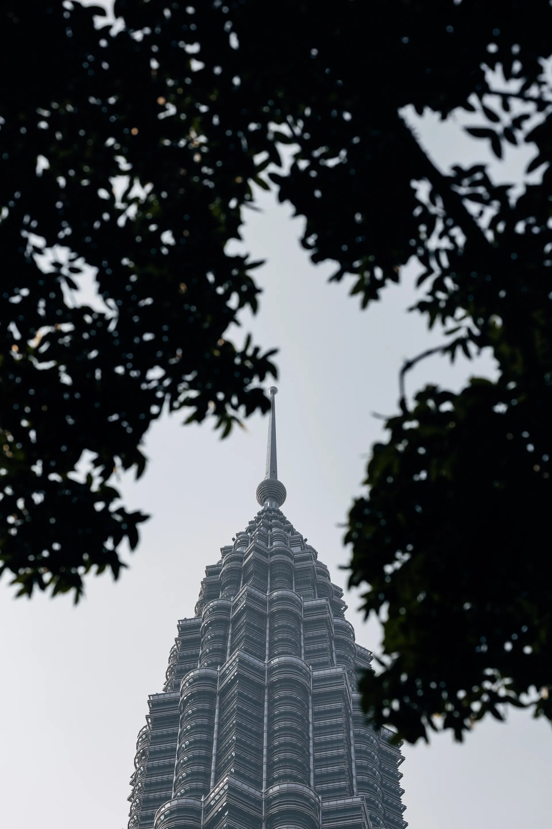 Spire of a Petronas Tower in Kuala Lumpur framed by tree leaves