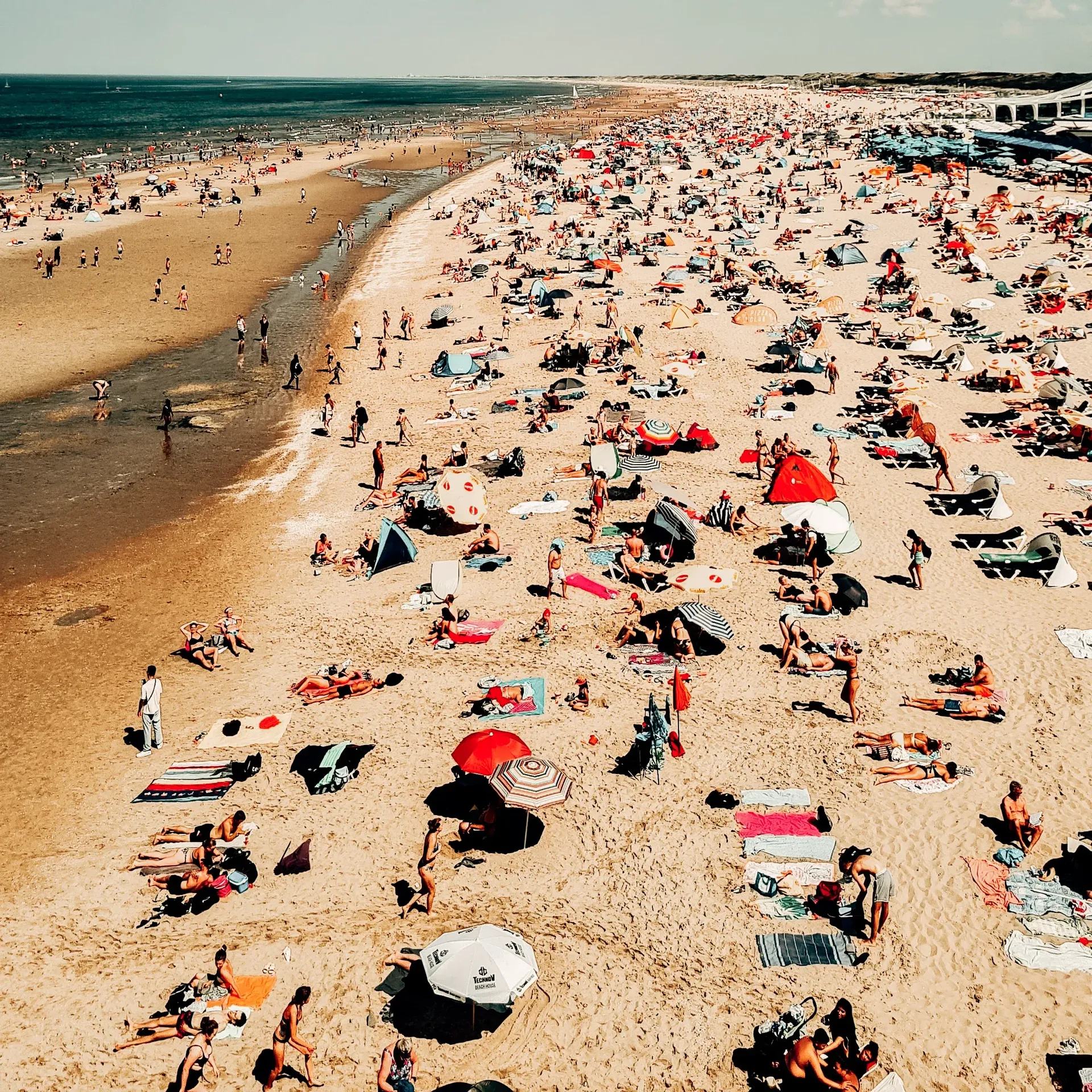 Aerial view of a packed Dutch beach with umbrellas and sunbathers — Audi Revolut F1 Team Zandvoort race weekend setting
