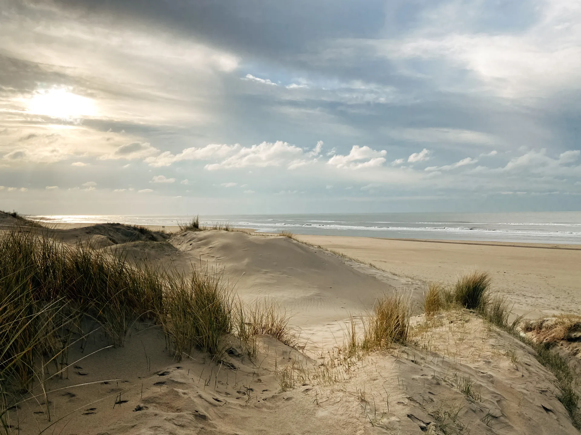 Coastal dunes and beach near Circuit Zandvoort, with the North Sea stretching towards the horizon beneath a dramatic cloudy sky.