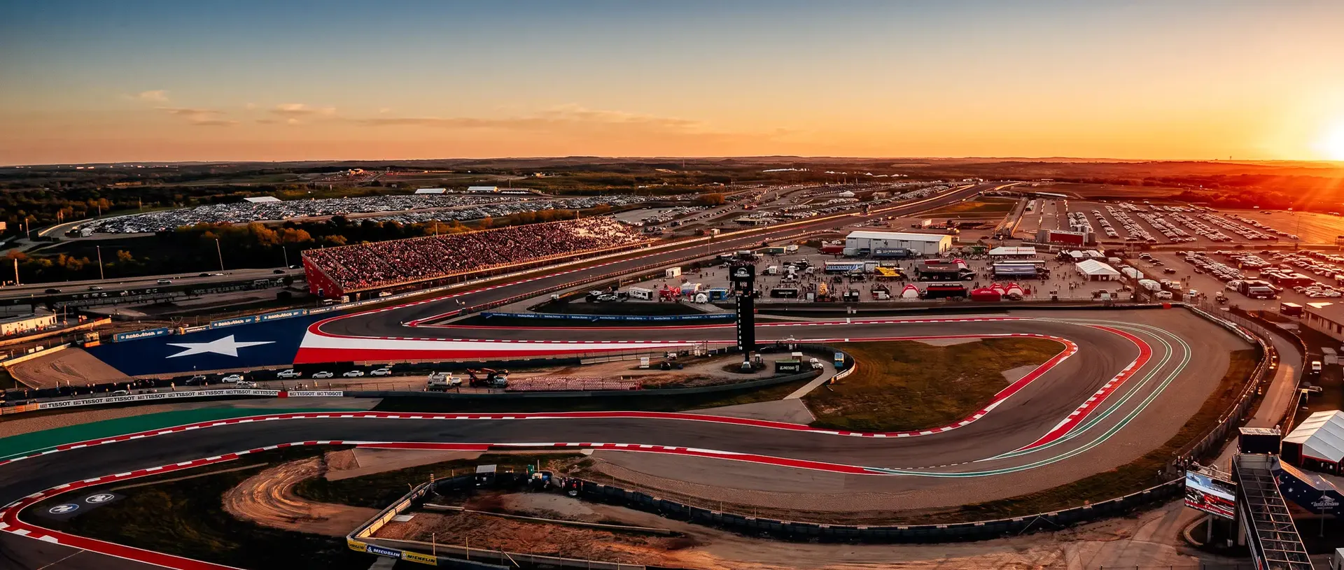 Texas Longhorn cow in a field, symbolising the local culture of the United States Grand Prix.