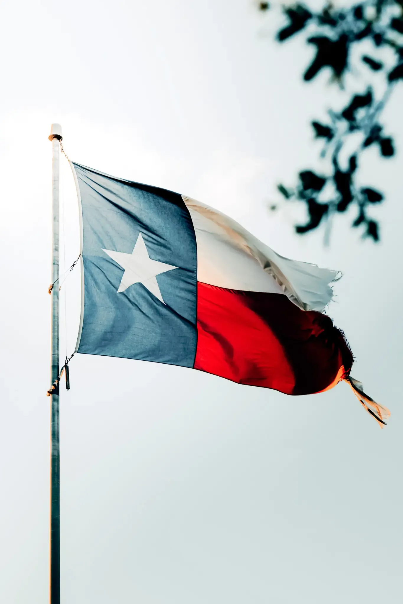 Texas flag waving against a bright sky.