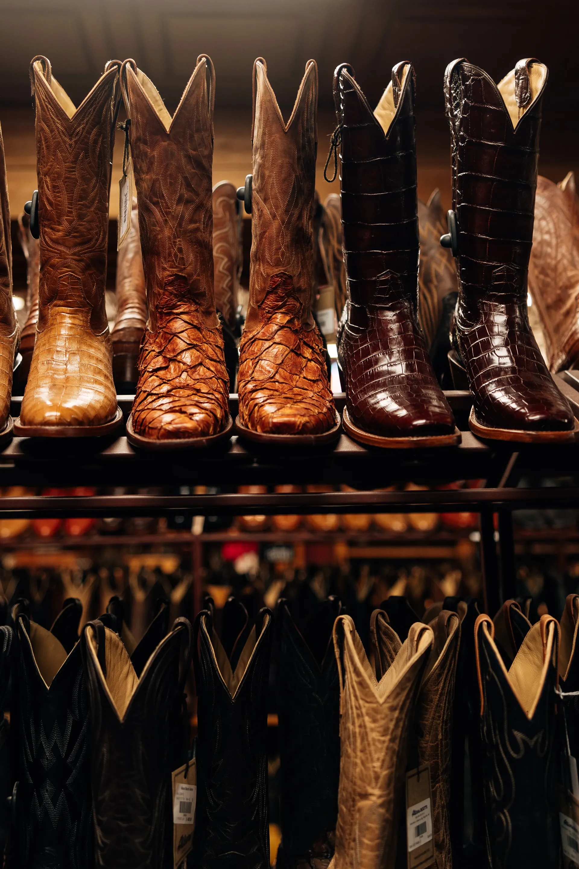 Rows of exotic leather cowboy boots on display in a Western store in Austin, United States Grand Prix