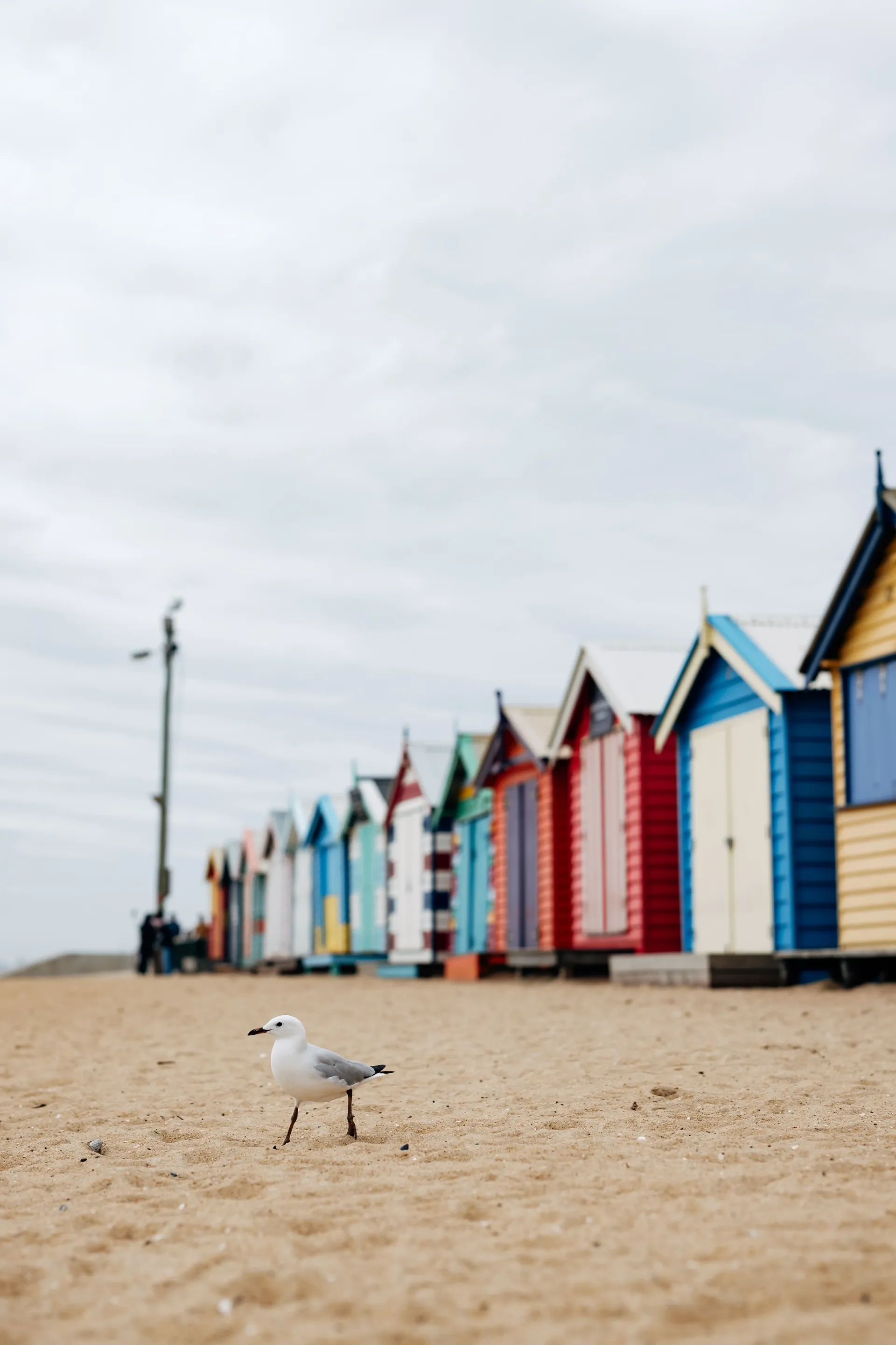 Melbourne 2026 Australian GP Audi Revolut F1® Team debut on ground activities