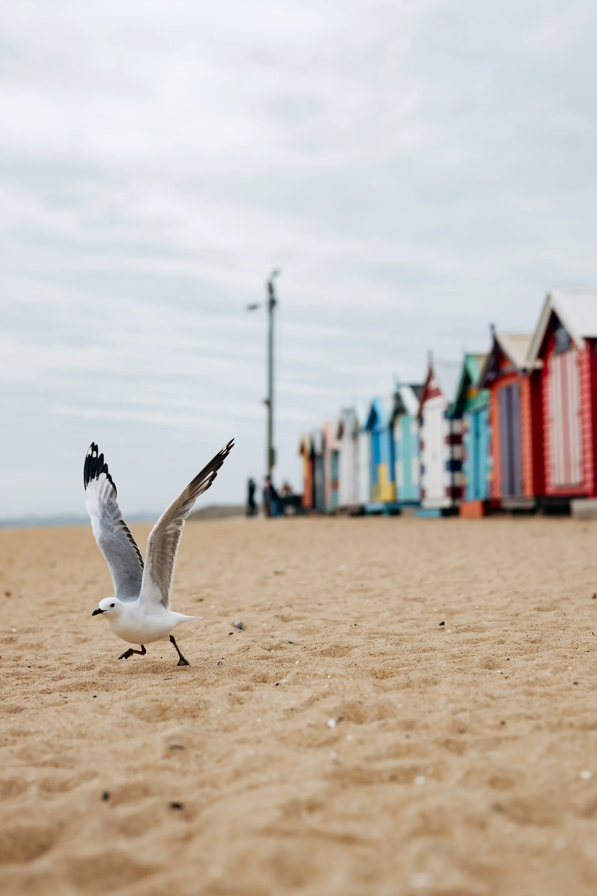 Melbourne 2026 Australian GP Audi Revolut F1® Team debut on ground activities