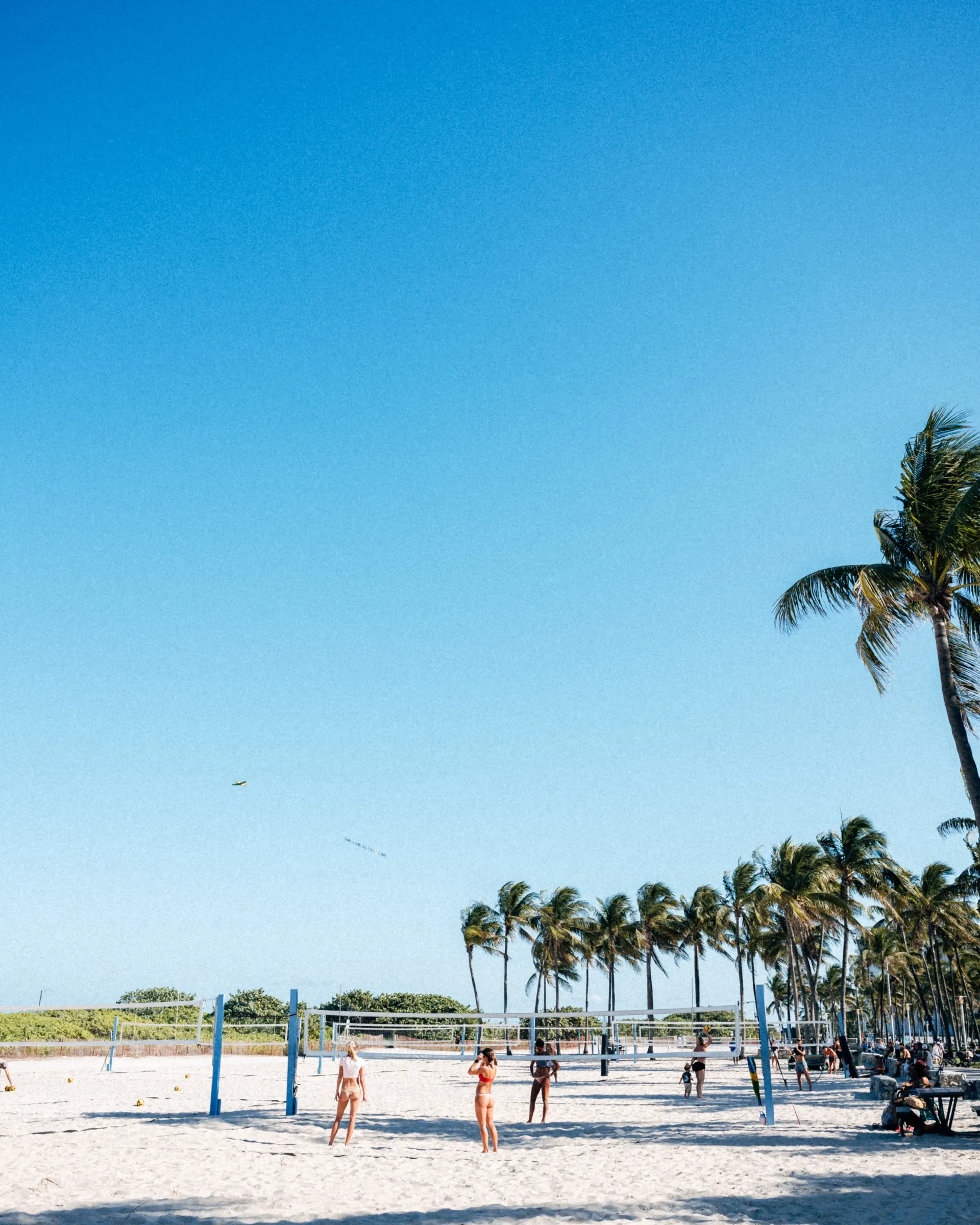 Minimalist Miami beach scene palm trees line, blue sky and people playing volelyball and enjoying the sun