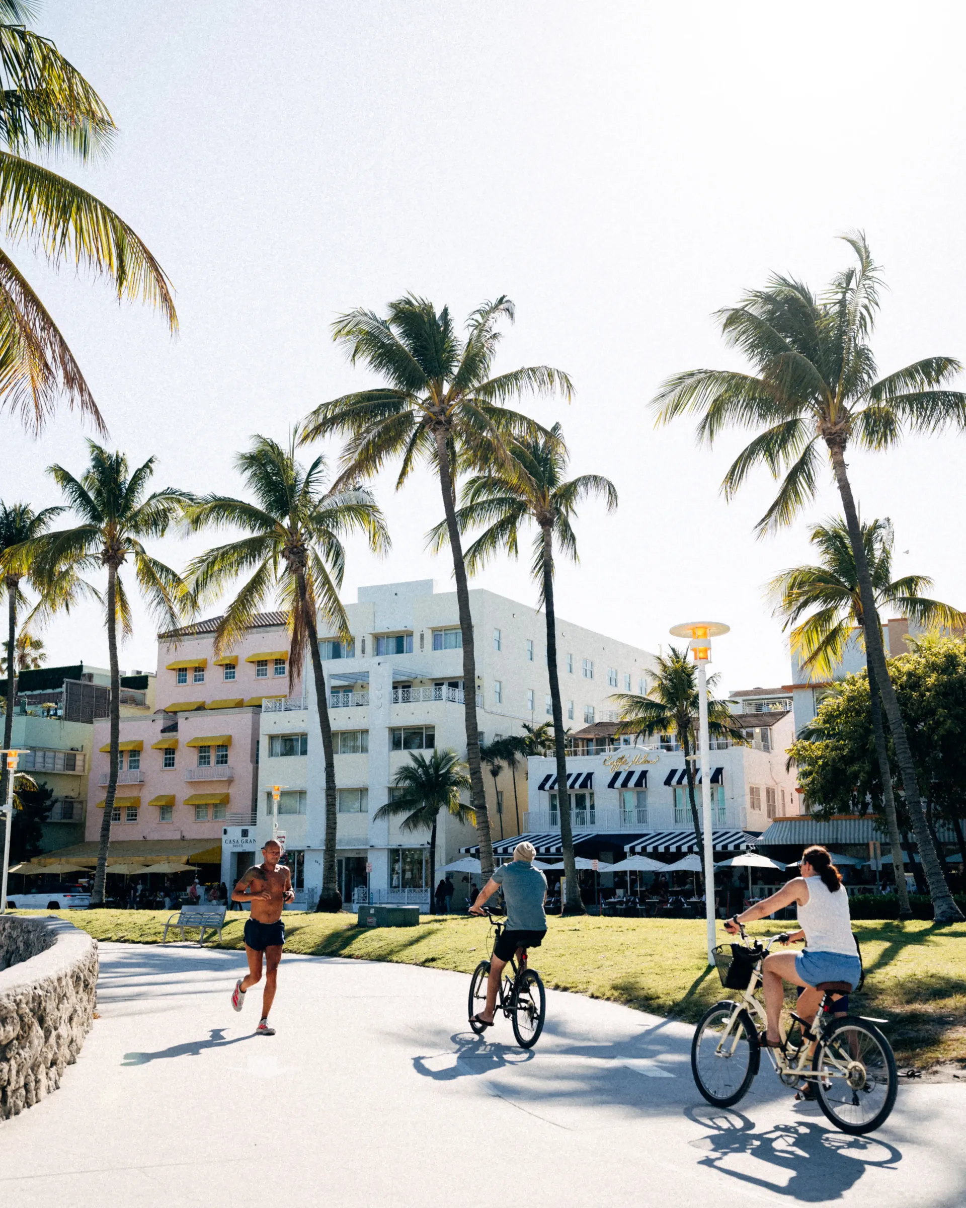Colorful Miami Beach shopping street with palm trees and storefronts