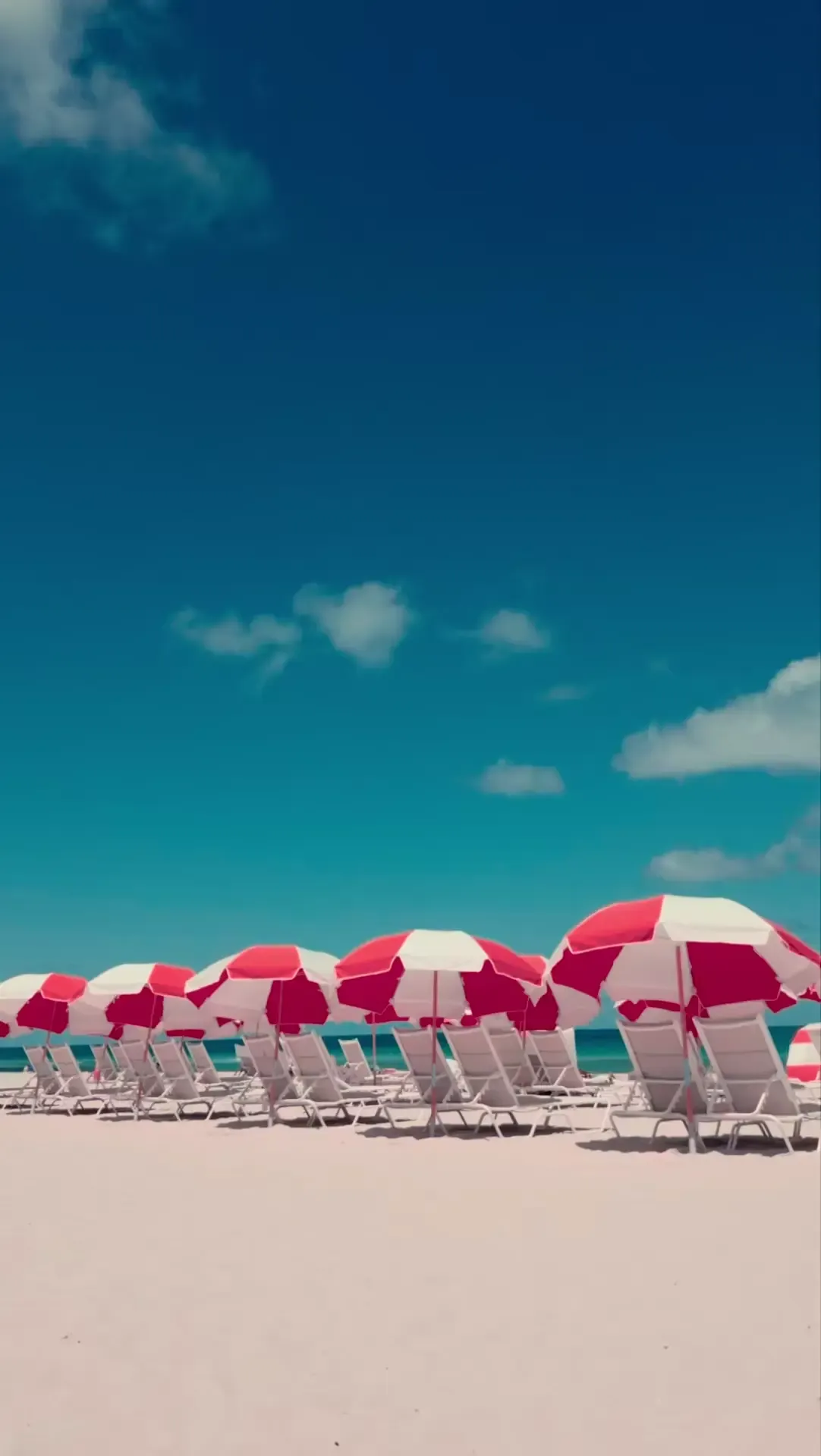 Audi Revolut F1® Team Miami off-track Postcard