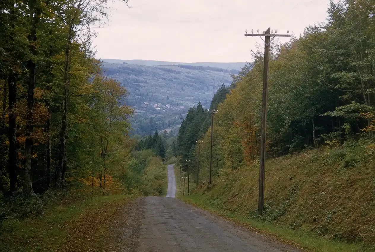 Scenic country road through the Ardennes landscape leading toward Spa-Francorchamps.
