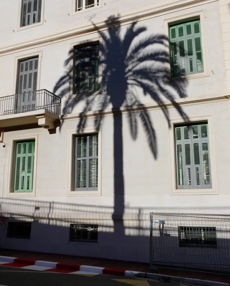 White Mediterranean-style building facade with palm trees reflected in the windows.