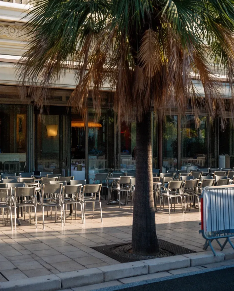 Sunlit palm trees and luxury architecture in a residential Monaco neighborhood.