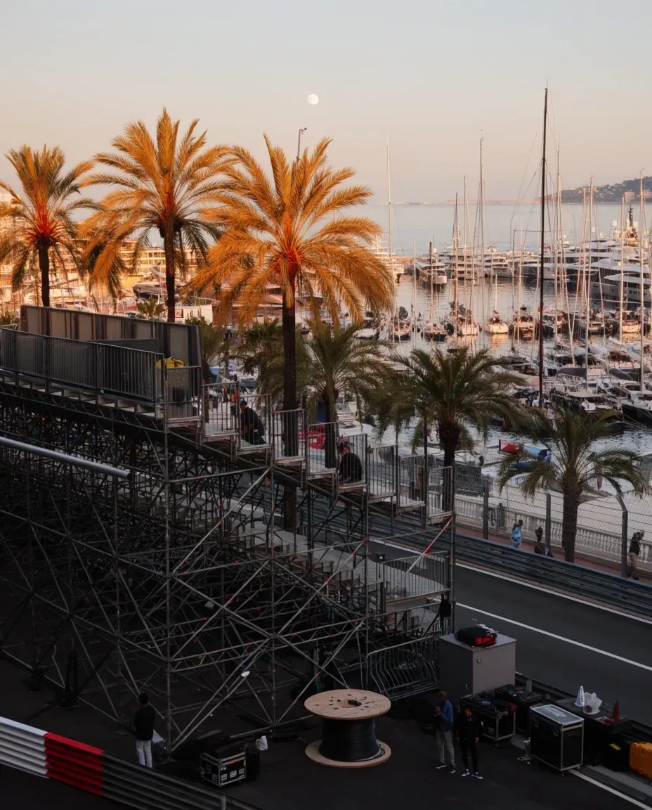 Golden-hour harbor view featuring palm trees and docked boats.
