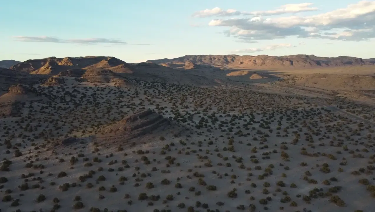 10 tales from Texas