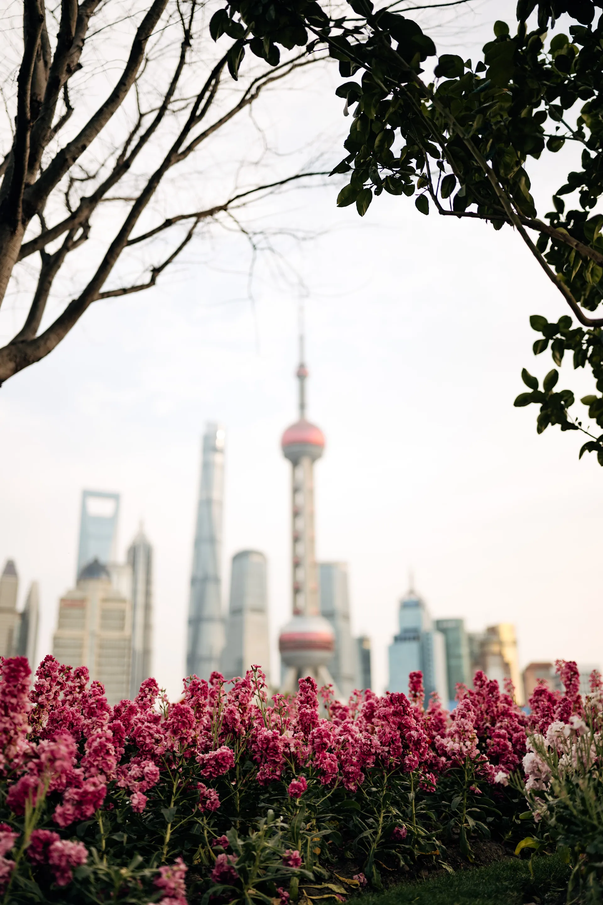 Audi Revolut F1® Team in Shangai for the Chinese GP